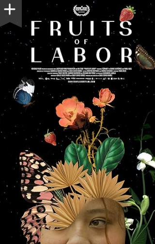 Screenshot 2025-12-04 172621